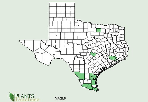 map of Barbados Cherry distribution in Texas