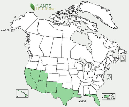 map of Agave distribution in North America