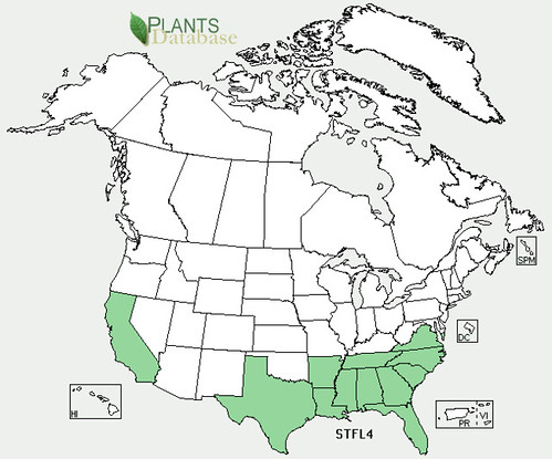 map of Betony distribution in North America