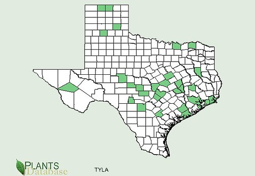 map of Cattails distribution in Texas