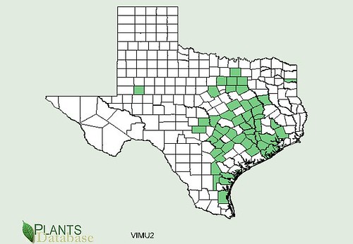 map of Grape - Mustang distribution in Texas
