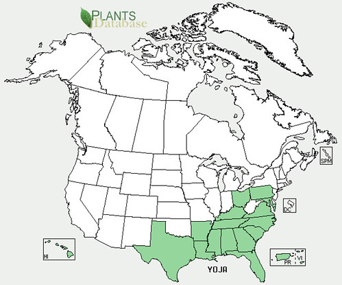 map of Japanese Hawkweed distribution in North America