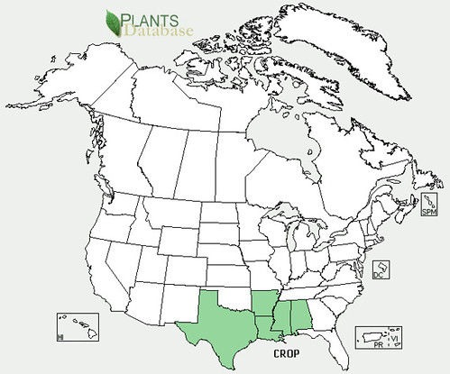 map of Mayhaw distribution in North America