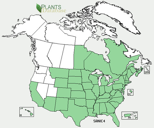 map of Elderberry distribution in North America