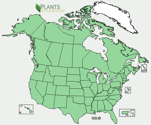 map of Goldenrod distribution in North America