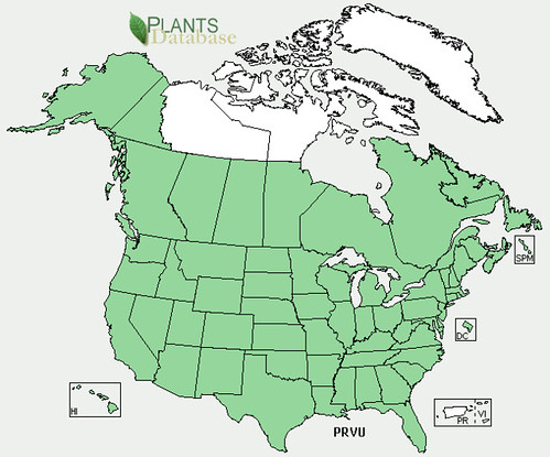 map of Heal's All distribution in North America