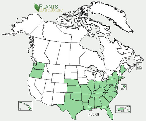 map of Kudzu distribution in North America