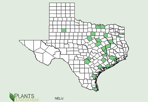 map of Lotus distribution in Texas