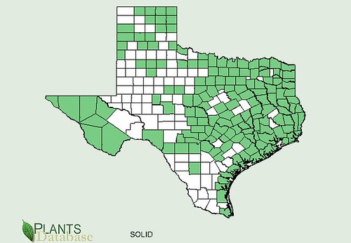 map of Goldenrod distribution in Texas