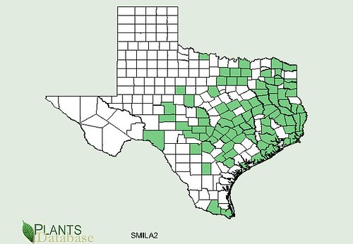 map of Greenbriar/Catbriar distribution in Texas