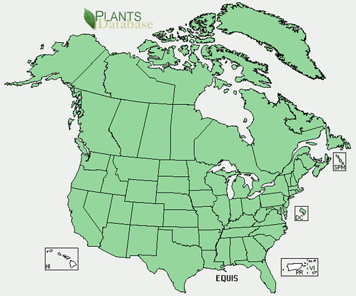 map of Horsetails distribution in North America