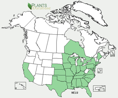 map of Lotus distribution in North America