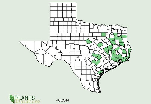 map of Pickerelweed distribution in Texas