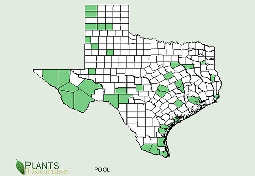 map of Purslane distribution in Texas