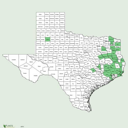 map of Sweetgum distribution in Texas