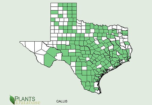 map of Wine Cup distribution in Texas