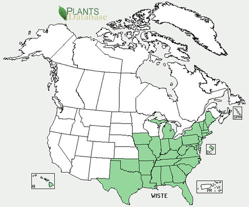 map of Wisteria distribution in North America