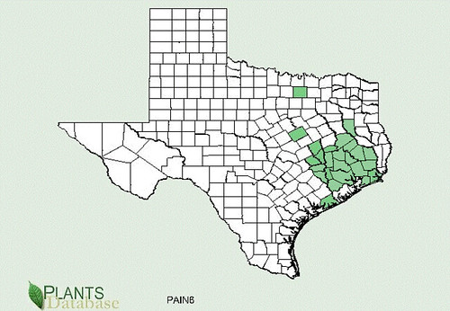 map of Passion Vine/Maypop distribution in Texas