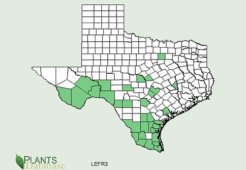 map of Purple Sage distribution in Texas