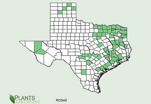 map of Rose distribution in Texas