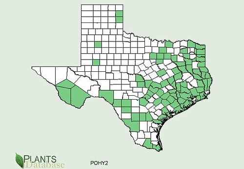 map of Smartweed distribution in Texas