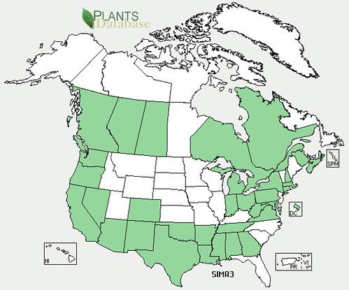 map of Thistle - Milk distribution in North America