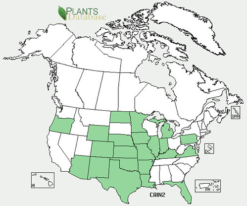 map of Wine Cup distribution in North America
