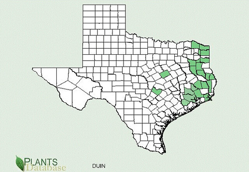 map of Indian Strawberry distribution in Texas