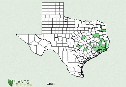 map of Wisteria distribution in Texas