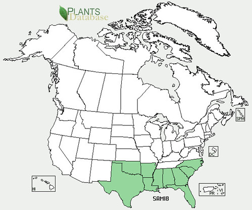 map of Palm - Dwarf Palmetto distribution in North America