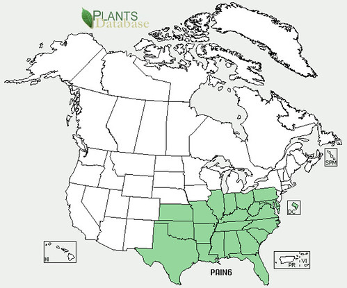 map of Passion Vine/Maypop distribution in North America