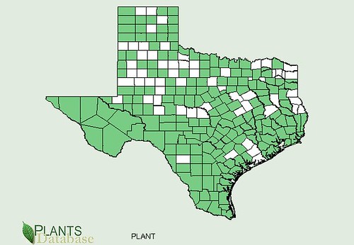 map of Plantain distribution in Texas