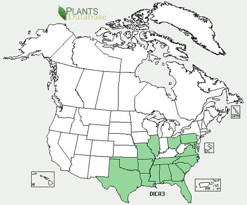 map of Pony's Foot distribution in North America