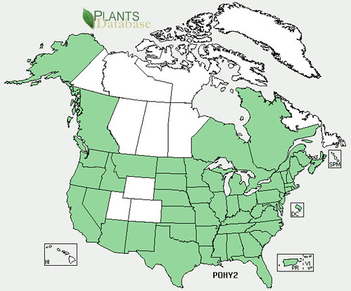 map of Smartweed distribution in North America