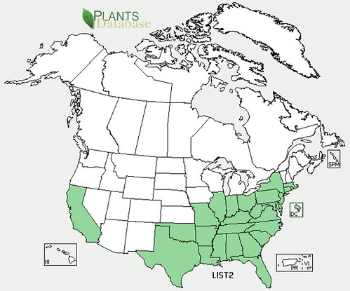 map of Sweetgum distribution in North America