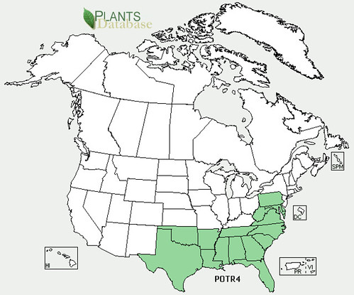 map of Trifoliate Orange distribution in North America