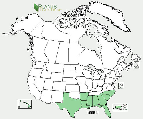 map of Turk's Cap distribution in North America