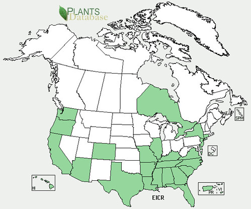 map of Water Hyacinth distribution in North America
