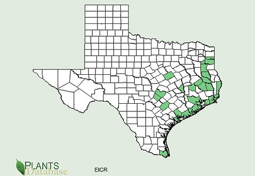 map of Water Hyacinth distribution in Texas