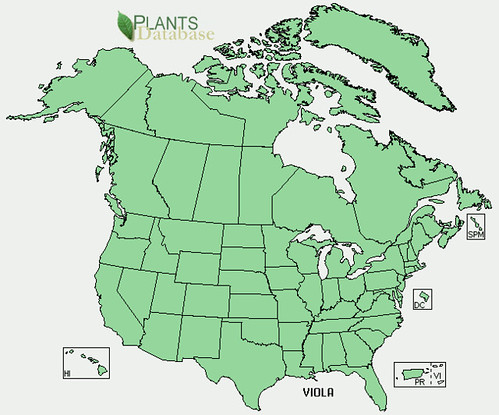 map of Wild Violet distribution in North America