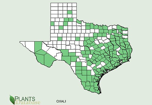 map of Wood Sorrel distribution in Texas