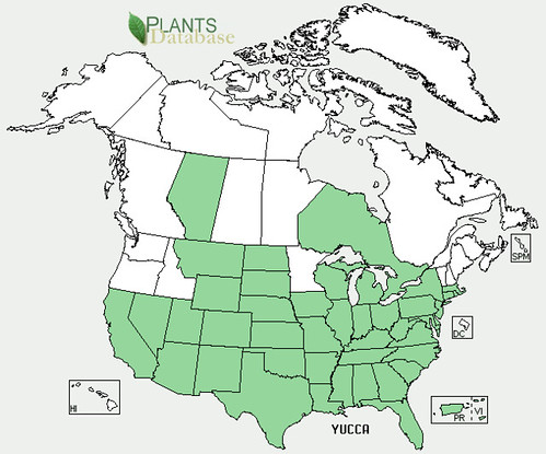 map of Yucca distribution in North America