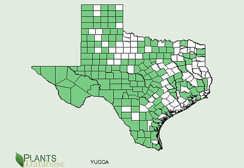map of Yucca distribution in Texas