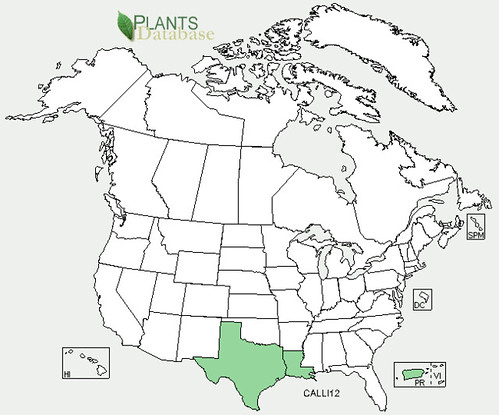 map of Bottlebrush Tree distribution in North America