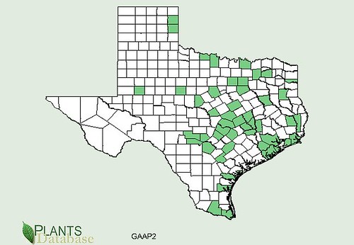 map of Cleaver distribution in Texas