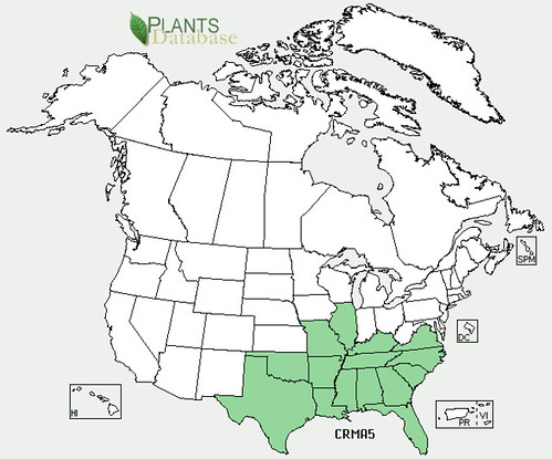map of Parsley Hawthorn distribution in North America