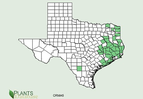 map of Parsley Hawthorn distribution in Texas