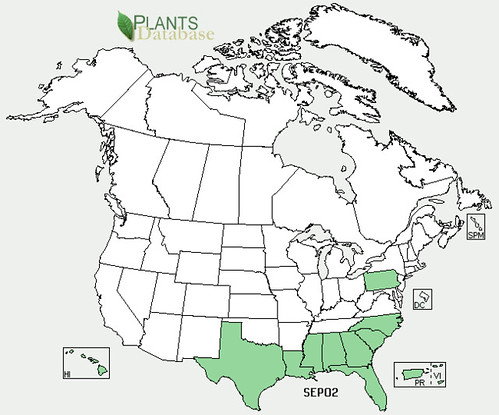 map of Sea Purslane distribution in North America