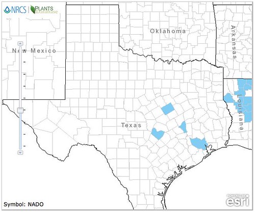 map of Nanadina distribution in Texas