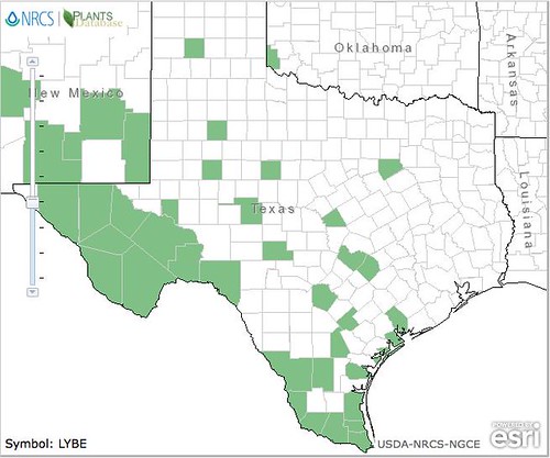 map of Wolfberry distribution in Texas